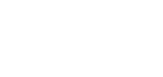 Decorative vector